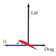 wing diagram